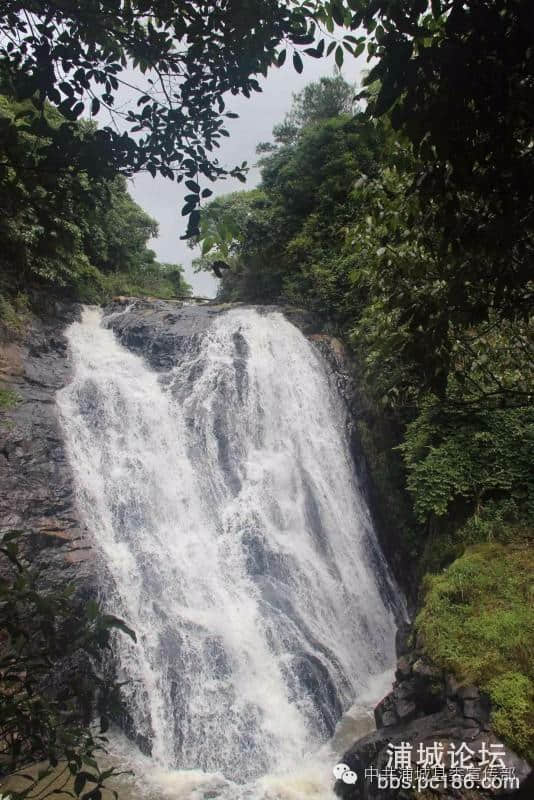 际岭村打造AAA级美丽乡村旅游景区示范村