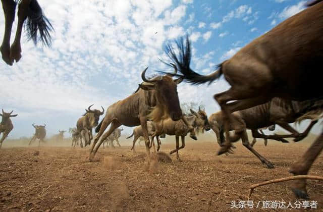 摄影爱好者的天堂，安利一下非洲肯尼亚之摄影攻略