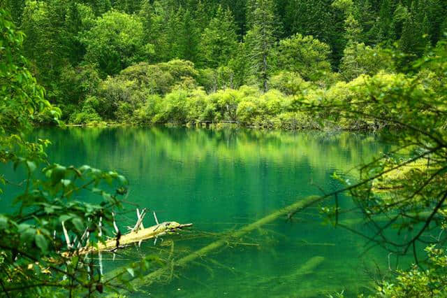 九寨沟之旅，在水一方邂逅别样美景