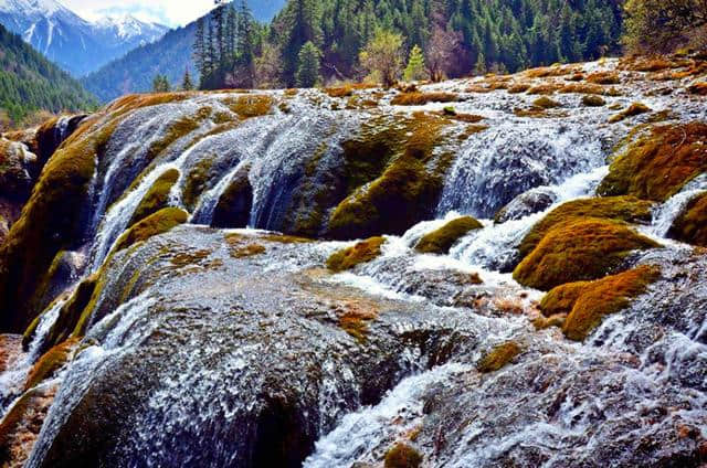 九寨沟之旅，在水一方邂逅别样美景