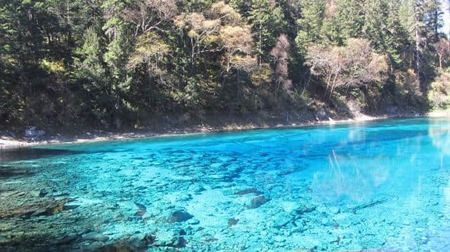 九寨沟之旅，在水一方邂逅别样美景