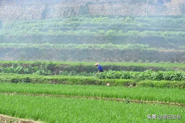 她被誉为仙游后花园，这一旅游胜地你千万别错过！