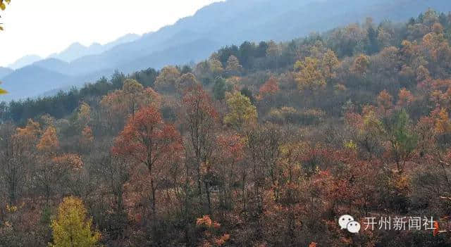 开县满月乡马营森林氧吧，原始自然美景让人心醉！