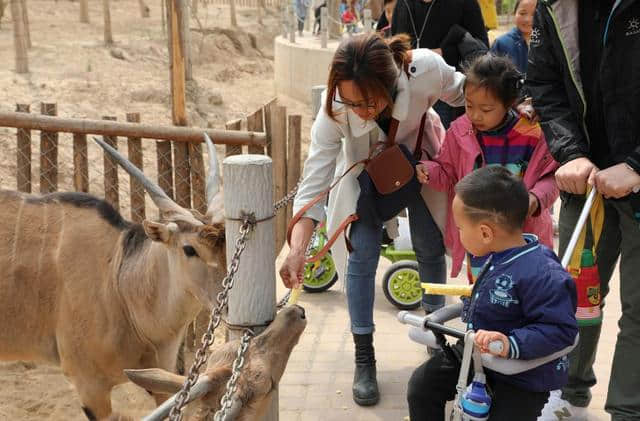 濮阳周边亲子家庭旅游好玩儿去濮阳东北庄野生动物园