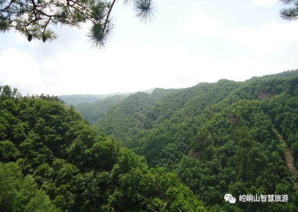 「旅游」平凉的这些地方你都没去过，那就太out了