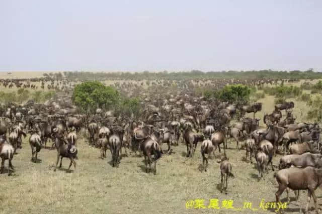 肯尼亚非洲10天深度自驾之旅