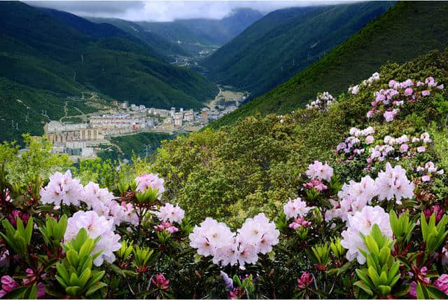 全域旅游·每日一景——康定情歌（木格措）