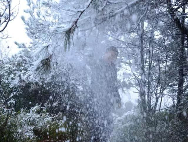 开县龙头嘴森林公园喜降今冬第一场雪 银装素裹太美啦！