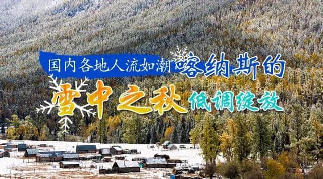 国庆各地人流如潮，喀纳斯の雪中之秋低调绽放