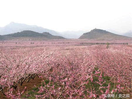 北京平谷桃花海