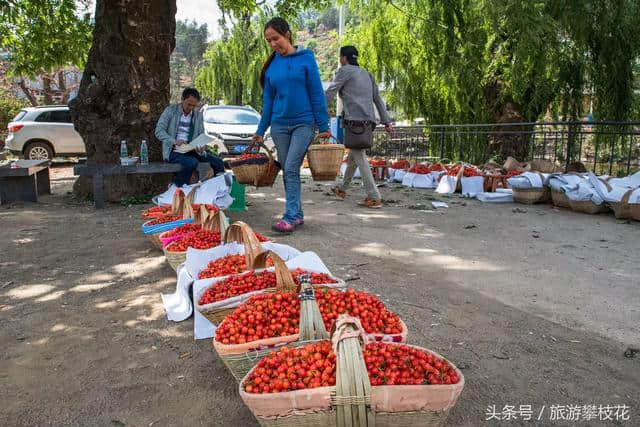 攀枝花上榜中国“西部行”自驾游精品旅游线路名单！这份游玩攻略请收好