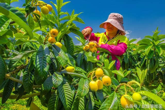 攀枝花上榜中国“西部行”自驾游精品旅游线路名单！这份游玩攻略请收好