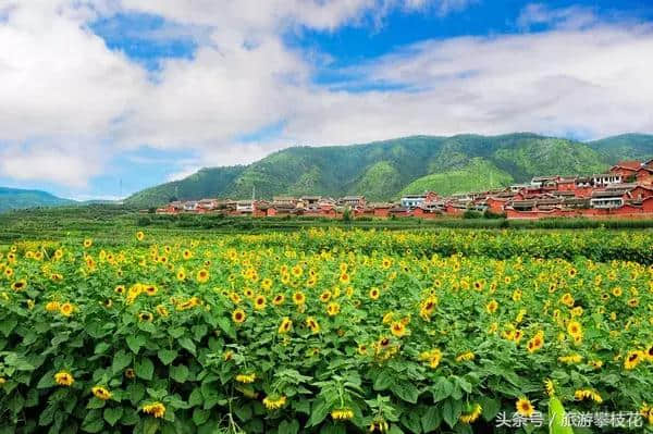 攀枝花上榜中国“西部行”自驾游精品旅游线路名单！这份游玩攻略请收好