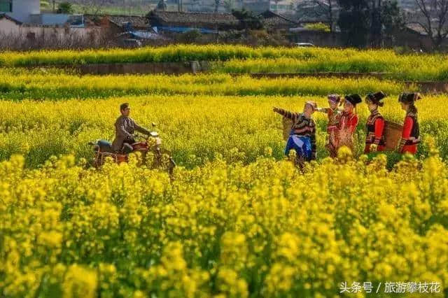 攀枝花上榜中国“西部行”自驾游精品旅游线路名单！这份游玩攻略请收好