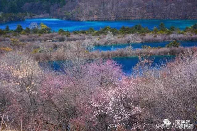 你一生必去的旅行地清单里，一定会有九寨沟