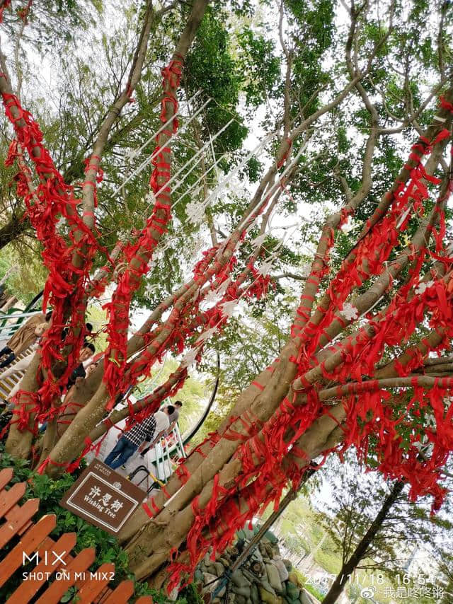 深圳大梅沙不只有大海和沙滩！它还是购物天堂和街拍圣地！