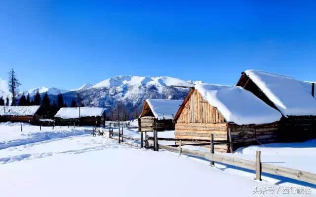 冬游喀纳斯攻略，别再傻傻的往雪乡跑了！