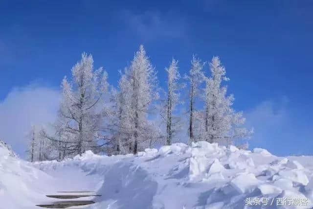 冬游喀纳斯攻略，别再傻傻的往雪乡跑了！