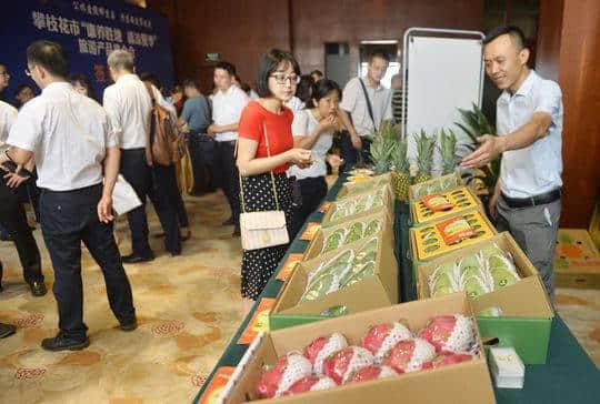 夏日度假哪里耍？清凉安逸攀枝花 ​攀枝花旅游产品推介会在成都举行