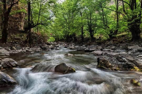 夏日度假哪里耍？清凉安逸攀枝花 ​攀枝花旅游产品推介会在成都举行