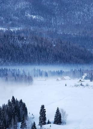 国内滑雪有这份攻略就够了之新疆喀纳斯的雪谷童话