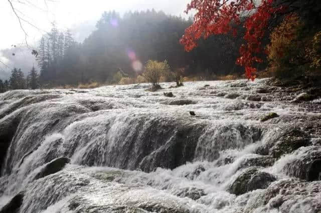 九寨沟，谢谢你又回来了（附九寨沟最全景点介绍）