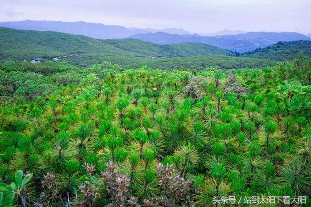 来攀枝花旅游，这些景点最值得去耍~