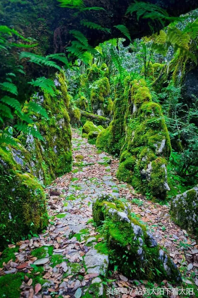 来攀枝花旅游，这些景点最值得去耍~