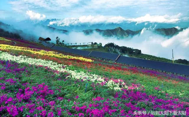 来攀枝花旅游，这些景点最值得去耍~