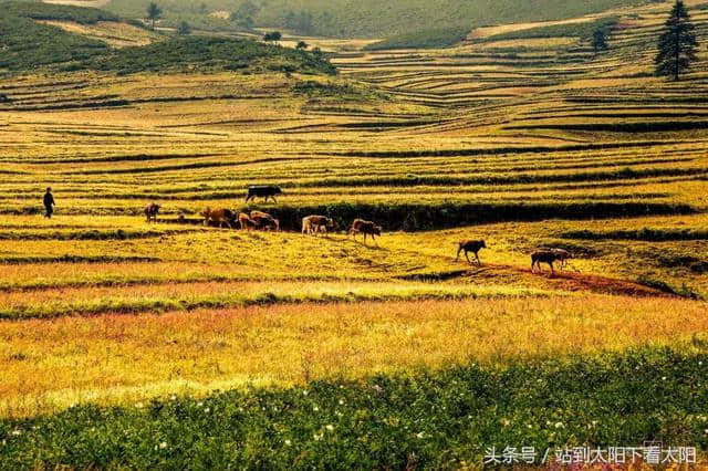 来攀枝花旅游，这些景点最值得去耍~