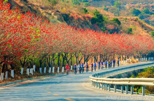 来攀枝花旅游，这些景点最值得去耍~