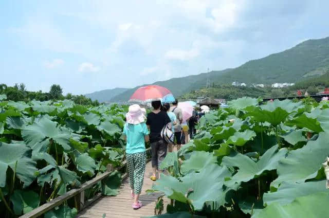 “清凉庄园.消夏开县”，重庆主城百车自驾开县觅清凉！