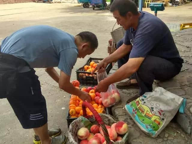 周末去哪儿玩丨自驾平谷采大桃、打泉水、捞小鱼自驾游攻略！