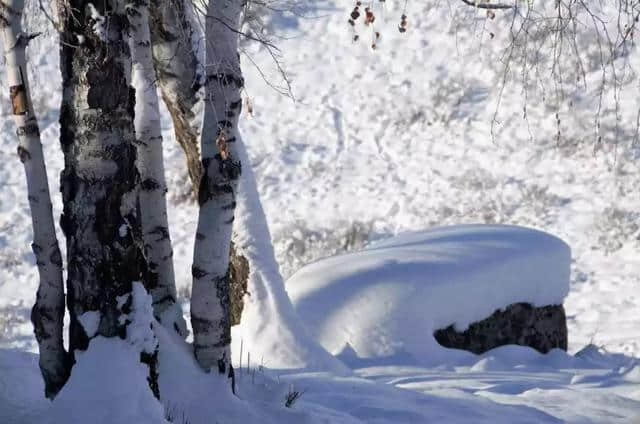 冬游喀纳斯｜新疆两地上榜“中国十佳冰雪旅游城市”