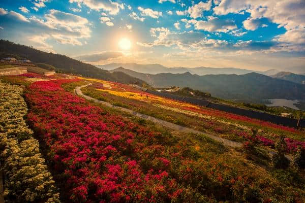 攀枝花市内及周边精品旅游线路推荐