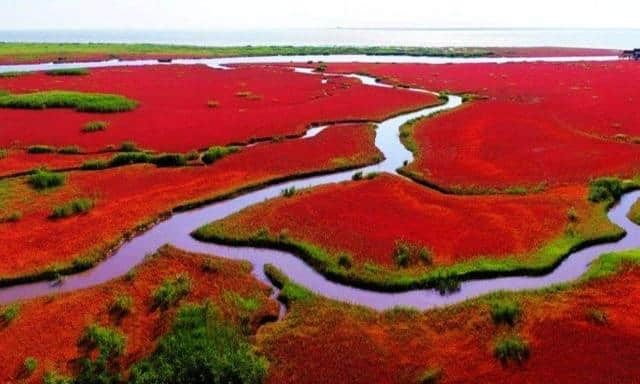 盘锦红海滩景区！