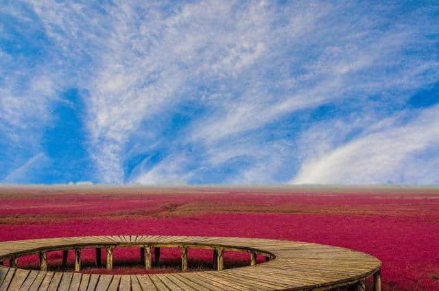 盘锦红海滩景区！