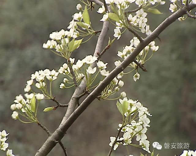 徒步八盆岭古道 探访历史的痕迹