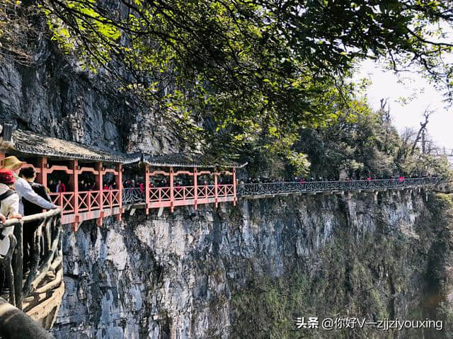 暑假出游——张家界旅游攻略靠谱品质旅游