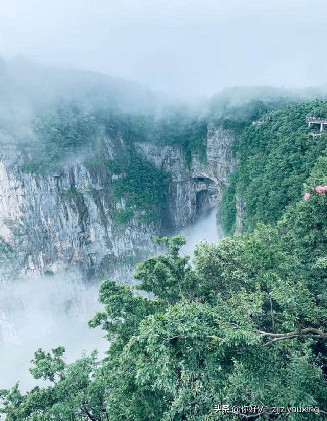 暑假出游——张家界旅游攻略靠谱品质旅游