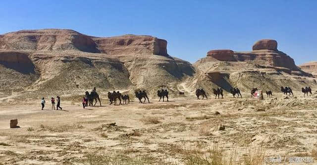 「紫塞」旅游攻略：美丽新疆行 克拉玛依魔鬼城 喀纳斯湖 五彩滩